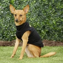 Frisco Security Dog & Cat T-Shirt -Frisco 139501 PT5. AC SS1800 V1624603968