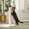 Frisco 21-in Sisal Cat Scratching Post With Toy -Frisco 140149 MAIN. AC SS1800 V1665765071