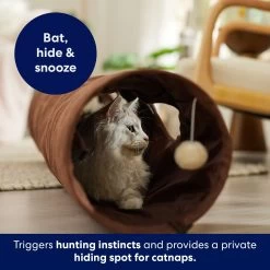 Frisco 47-in Foldable Crinkle Play Tunnel With 2 Windows 10 Frisco 47-in Foldable Crinkle Play Tunnel With 2 Windows -Frisco 140168 PT3. AC SS1800 V1695241917