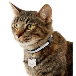 Frisco Stainless Steel Personalized Cat ID Tag, Cat -Frisco 153043 PT5. AC SS1800 V1540560131