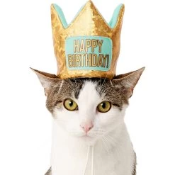 Frisco Happy Birthday Dog & Cat Crown 10 Frisco Happy Birthday Dog & Cat Crown -Frisco 153665 PT2. AC SS1800 V1551230979