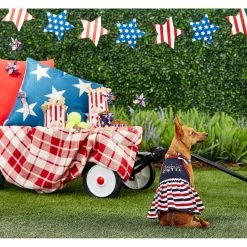 Frisco American Cutie Dog & Cat Sundress 11 Frisco American Cutie Dog & Cat Sundress -Frisco 153735 PT4. AC SS1800 V1633126624