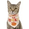 Frisco Mommy's Lil Pumpkin Dog & Cat Bandana -Frisco 158936 MAIN. AC SS1800 V1689628232