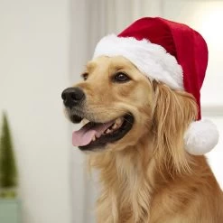 Frisco Holiday Dog & Cat Santa Hat, 1 Count -Frisco 160054 PT4. AC SS1800 V1637650626