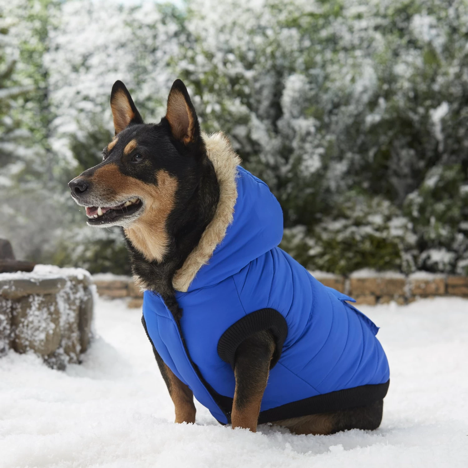 Frisco Heavyweight Anchorage Insulated Dog & Cat Parka 10 Frisco Heavyweight Anchorage Insulated Dog & Cat Parka - Image 8