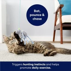 Frisco Bouncy Mouse Plush Teaser Cat Toy With Catnip 10 Frisco Bouncy Mouse Plush Teaser Cat Toy With Catnip -Frisco 161259 PT5. AC SS1800 V1686580155