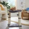 Frisco 20-in Faux Fur Cat Tree 1 Frisco 20-in Faux Fur Cat Tree -Frisco 163745 MAIN. AC SS1800 V1665753526