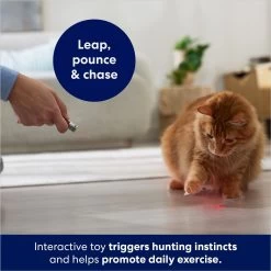 Frisco 2-in-1 Laser & LED Light Laser Cat Toy 9 Frisco 2-in-1 Laser & LED Light Laser Cat Toy -Frisco 166309 PT3. AC SS1800 V1686579688