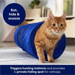 Frisco Foldable Play Tunnel With Mesh Cat Toy 8 Frisco Foldable Play Tunnel With Mesh Cat Toy -Frisco 166385 PT2. AC SS1800 V1686580143