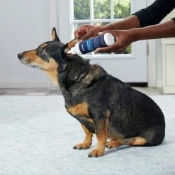 Frisco Advanced Ear Cleaner For Dogs & Cats, 8-oz Bottle 10 Frisco Advanced Ear Cleaner For Dogs & Cats, 8-oz Bottle -Frisco 178703 PT3. AC SS1800 V1581460105