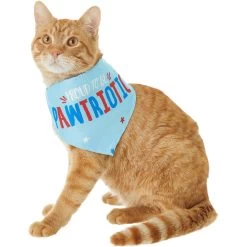 Frisco Pawtriot Dog & Cat Bandana -Frisco 191277 PT2. AC SS1800 V1584623825