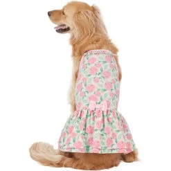 Frisco Pink Floral Dog & Cat Dress 10 Frisco Pink Floral Dog & Cat Dress -Frisco 191295 PT2. AC SS1800 V1637653354