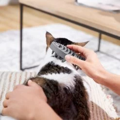 Frisco Cat Curry Brush -Frisco 206853 PT6. AC SS1800 V1680186158