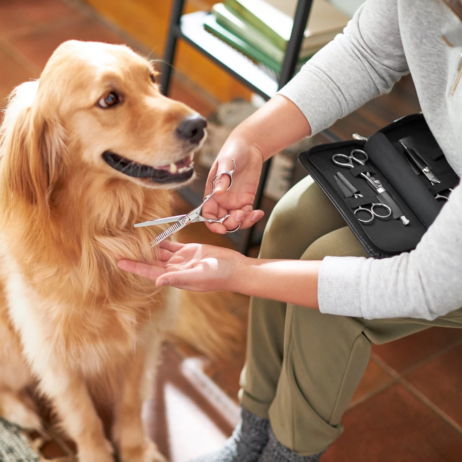 Frisco Shears Kit For Cats And Dogs 6 Frisco Shears Kit For Cats And Dogs - Image 4