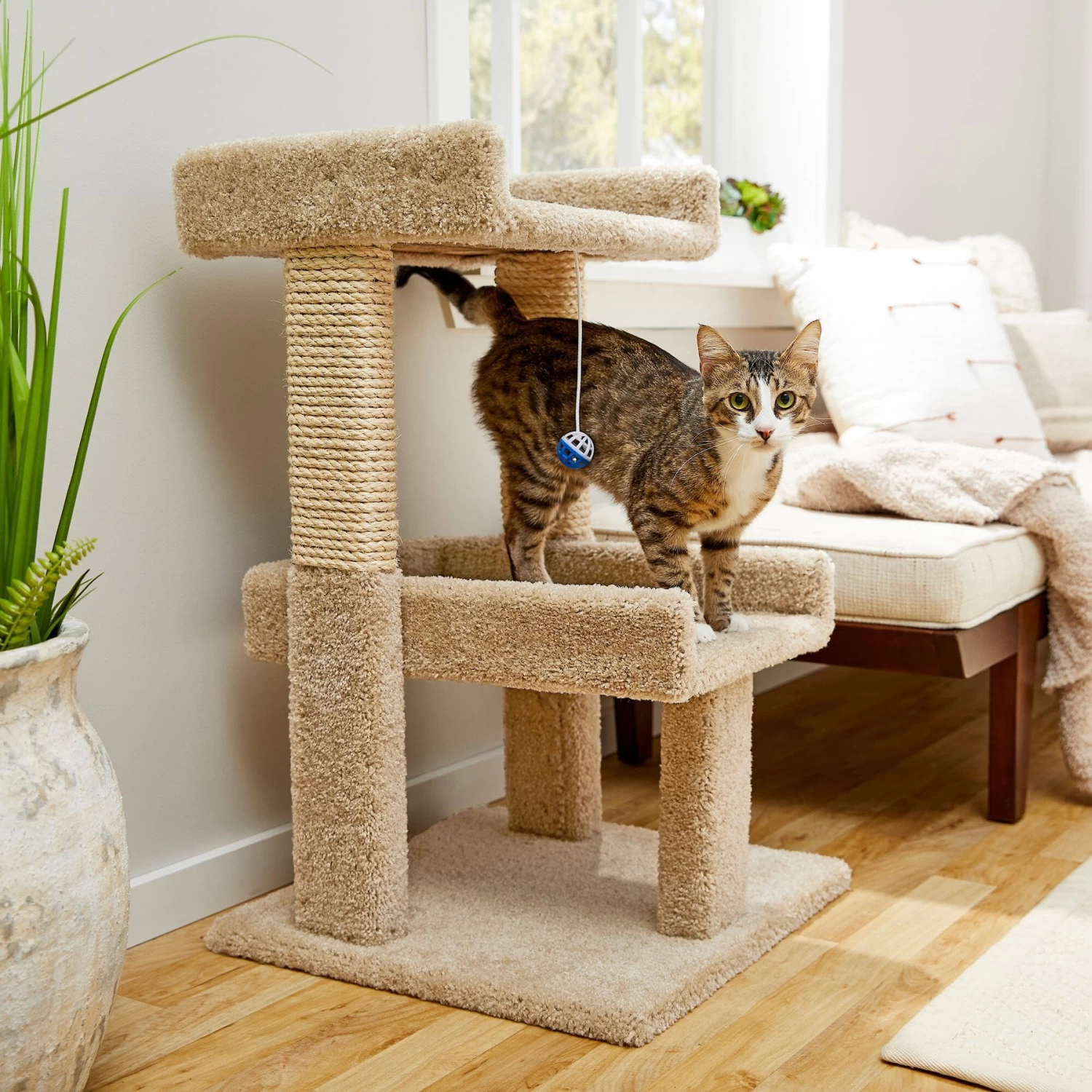 Frisco 32-in Real Carpet Wooden Cat Tree With Toy 3 Frisco 32-in Real Carpet Wooden Cat Tree With Toy