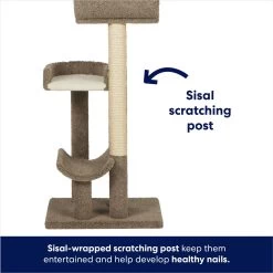 Frisco 69-in Real Carpet Wooden Cat Tree 12 Frisco 69-in Real Carpet Wooden Cat Tree -Frisco 208926 PT4. AC SS1800 V1667228001