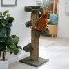Frisco 49-in Tree-Shaped Real Carpet Wooden Cat Tree 2 Frisco 49-in Tree-Shaped Real Carpet Wooden Cat Tree -Frisco 208944 MAIN. AC SS1800 V1647632802