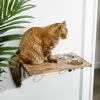 Frisco Wooden Wall Mounted Stainless Steel Cat Feeding Station With Bowl -Frisco 213784 MAIN. AC SS1800 V1599771967