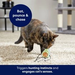 Frisco Dangly Avocado Buddy Plush Cat Toy With Catnip 10 Frisco Dangly Avocado Buddy Plush Cat Toy With Catnip -Frisco 213846 PT5. AC SS1800 V1691784029