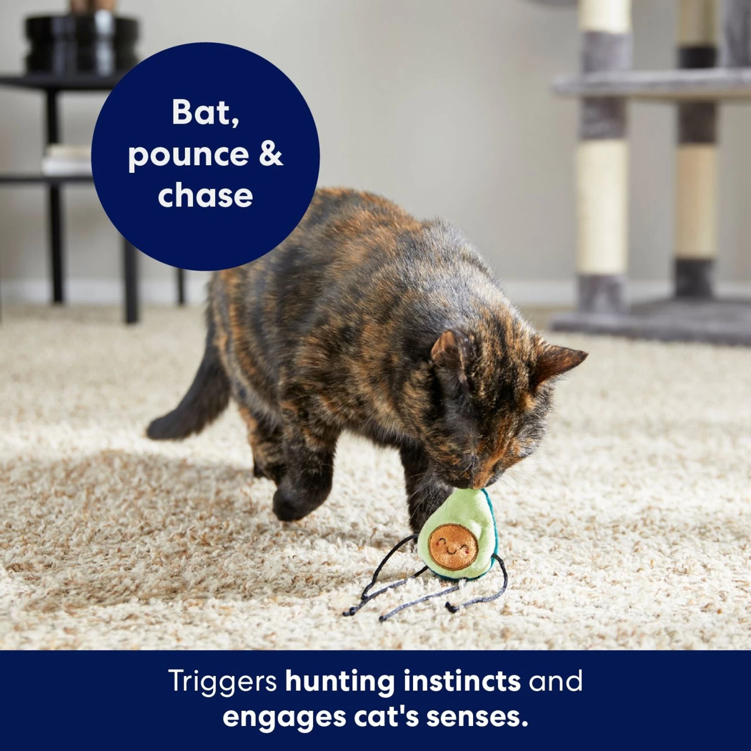 Frisco Dangly Avocado Buddy Plush Cat Toy With Catnip 6 Frisco Dangly Avocado Buddy Plush Cat Toy With Catnip - Image 4