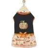 Frisco Pumpkin Patch Cutie Dog & Cat Dress 2 Frisco Pumpkin Patch Cutie Dog & Cat Dress -Frisco 215784 MAIN. AC SS1800 V1632424571