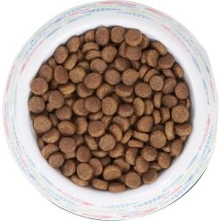 Frisco Colorful Fish Melamine Bowl 12 Frisco Colorful Fish Melamine Bowl -Frisco 216047 PT4. AC SS1800 V1591020721