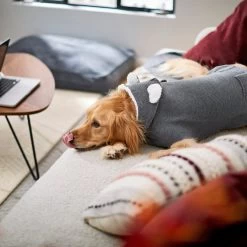 Frisco Bear Hooded Dog & Cat Sweater -Frisco 223786 PT7. AC SS1800 V1599566227