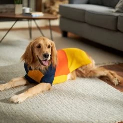 Frisco Colorblock Dog & Cat Turtleneck Sweater With Sleeves 15 Frisco Colorblock Dog & Cat Turtleneck Sweater With Sleeves -Frisco 223819 PT7. AC SS1800 V1599922008