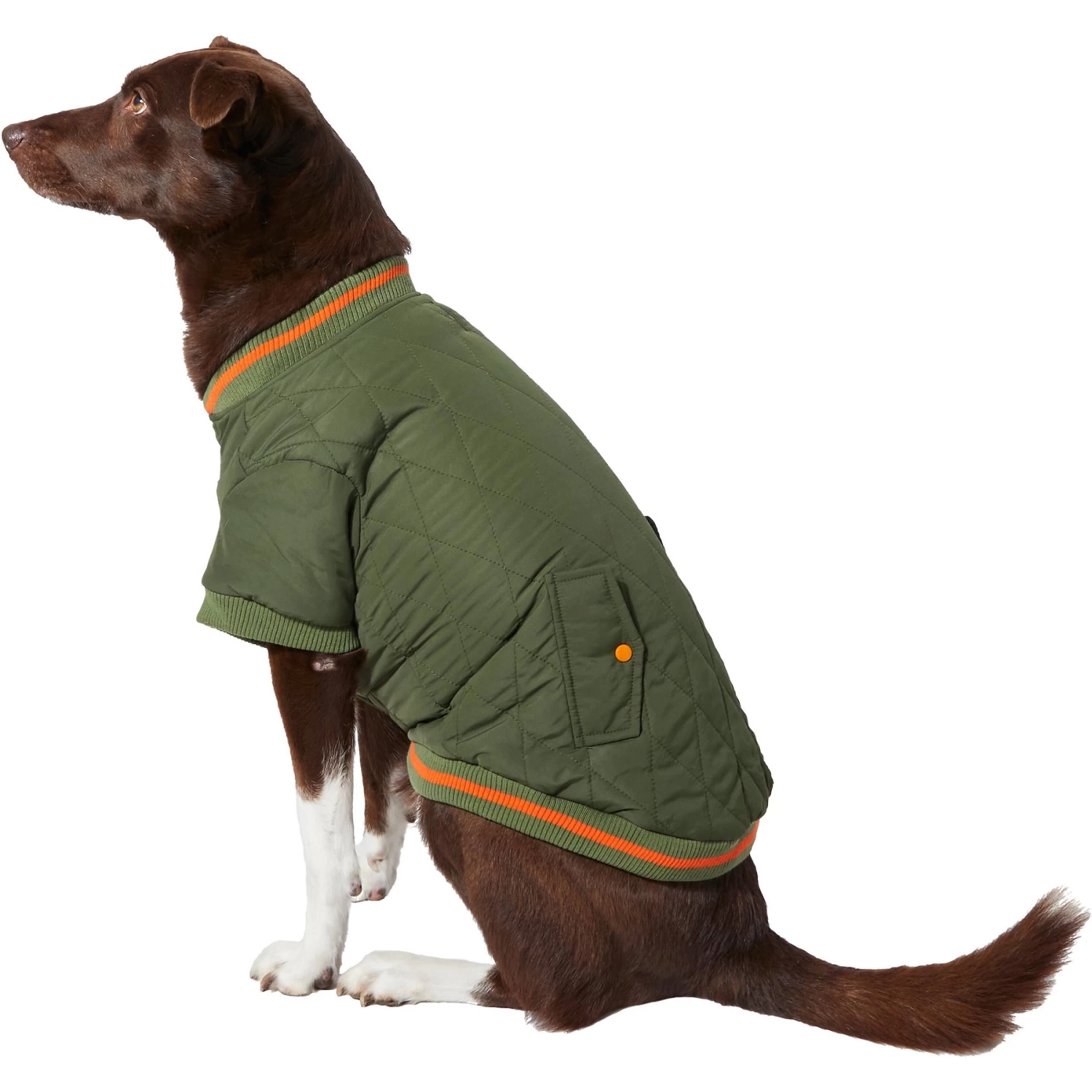 Frisco Mediumweight Insulated Quilted Bomber Dog & Cat Coat 3 Frisco Mediumweight Insulated Quilted Bomber Dog & Cat Coat