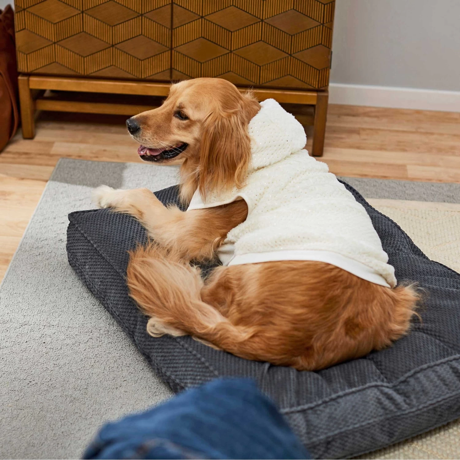 Frisco Plush Fur Dog & Cat Hoodie 10 Frisco Plush Fur Dog & Cat Hoodie - Image 8