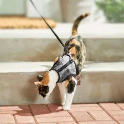 Frisco Wrap Cat Harness 14 Frisco Wrap Cat Harness -Frisco 230691 PT5. AC SS1800 V1601096758