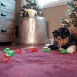 Frisco Holiday Springs Cat Toy, 10 Count -Frisco 233307 PT2. AC SS1800 V1602172363