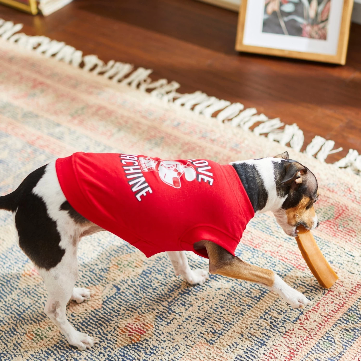 Frisco Love Machine Dog & Cat T-shirt 9 Frisco Love Machine Dog & Cat T-shirt - Image 7