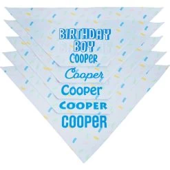 Frisco Birthday Boy Personalized Dog & Cat Bandana -Frisco 238329 PT4. AC SS1800 V1618511578