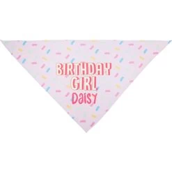 Frisco Birthday Girl Personalized Dog & Cat Bandana -Frisco 238333 PT3. AC SS1800 V1618509734