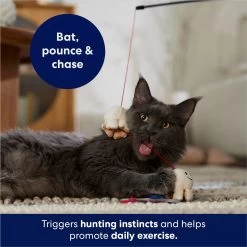 Frisco Zoomies & Chill Popcorn Teaser Wand Cat Toy With Catnip 10 Frisco Zoomies & Chill Popcorn Teaser Wand Cat Toy With Catnip -Frisco 241713 PT5. AC SS1800 V1691785246