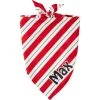 Frisco Peppermint Personalized Dog & Cat Bandana -Frisco 242807 MAIN. AC SS1800 V1600114265