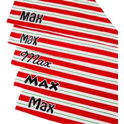 Frisco Peppermint Personalized Dog & Cat Bandana 14 Frisco Peppermint Personalized Dog & Cat Bandana -Frisco 242807 PT4. AC SS1800 V1618511553