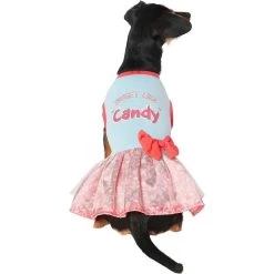 Frisco Sweet Like Candy Dog & Cat Dress 10 Frisco Sweet Like Candy Dog & Cat Dress -Frisco 248666 PT2. AC SS1800 V1632421633