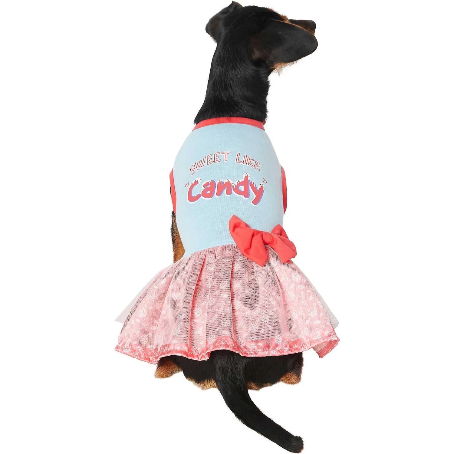 Frisco Sweet Like Candy Dog & Cat Dress 5 Frisco Sweet Like Candy Dog & Cat Dress - Image 3