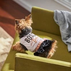 Frisco Boss Babe Dog & Cat Dress -Frisco 248674 PT7. AC SS1800 V1613666625