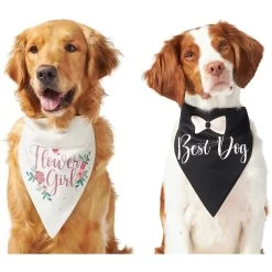 Frisco Wedding Reversible Dog & Cat Bandana 13 Frisco Wedding Reversible Dog & Cat Bandana -Frisco 248712 PT2. AC SS1800 V1632429387