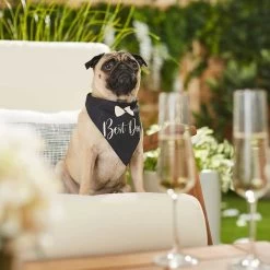 Frisco Wedding Reversible Dog & Cat Bandana 16 Frisco Wedding Reversible Dog & Cat Bandana -Frisco 248712 PT5. AC SS1800 V1632432987