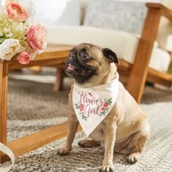 Frisco Wedding Reversible Dog & Cat Bandana 17 Frisco Wedding Reversible Dog & Cat Bandana -Frisco 248712 PT6. AC SS1800 V1632430655