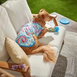 Frisco Pawsitive Vibes Tiedye Print Dog & Cat T-Shirt 14 Frisco Pawsitive Vibes Tiedye Print Dog & Cat T-Shirt -Frisco 248783 PT5. AC SS1800 V1637687526