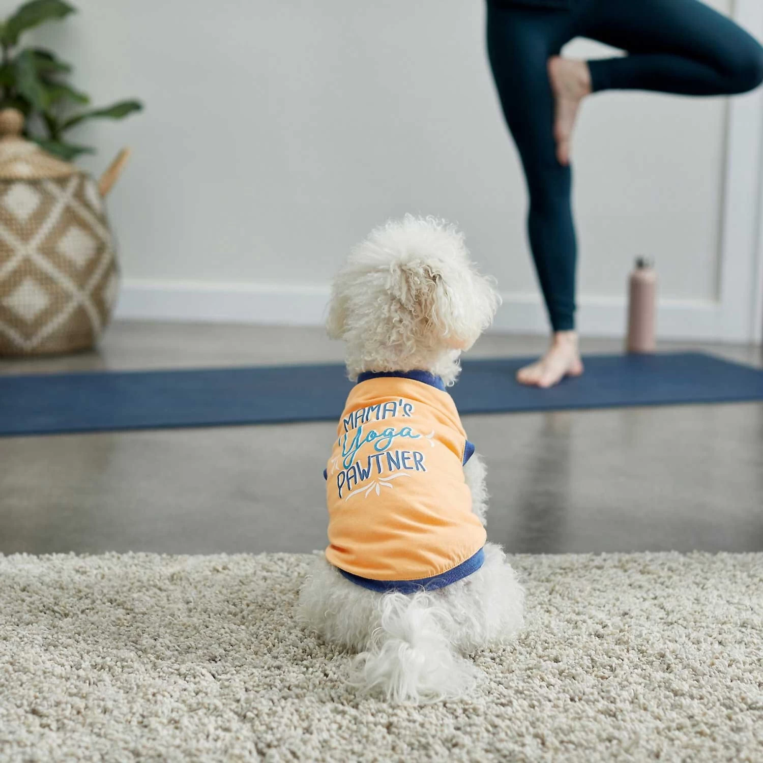 Frisco Mama's Yoga Pawtner Dog & Cat T-Shirt 7 Frisco Mama's Yoga Pawtner Dog & Cat T-Shirt - Image 5