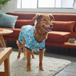 Frisco Happy Shark Dog & Cat Jersey PJs -Frisco 249122 PT7. AC SS1800 V1614276183