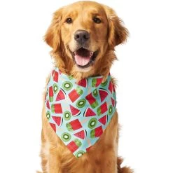 Frisco Fruity Summer Dog & Cat Bandana -Frisco 249204 PT2. AC SS1800 V1637644629