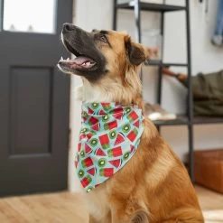 Frisco Fruity Summer Dog & Cat Bandana -Frisco 249204 PT4. AC SS1800 V1637668676