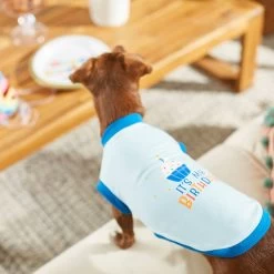 Frisco It's My Birthday & Cat T-Shirt -Frisco 249249 PT7. AC SS1800 V1614289318